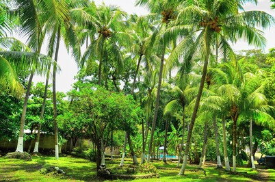 Tropical Private beach house 3 mins from the beach .Close to restaurants ,stores