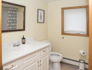 A bathroom with a white sink, a toilet, a framed fern artwork, a window with blinds, and a toilet paper holder.