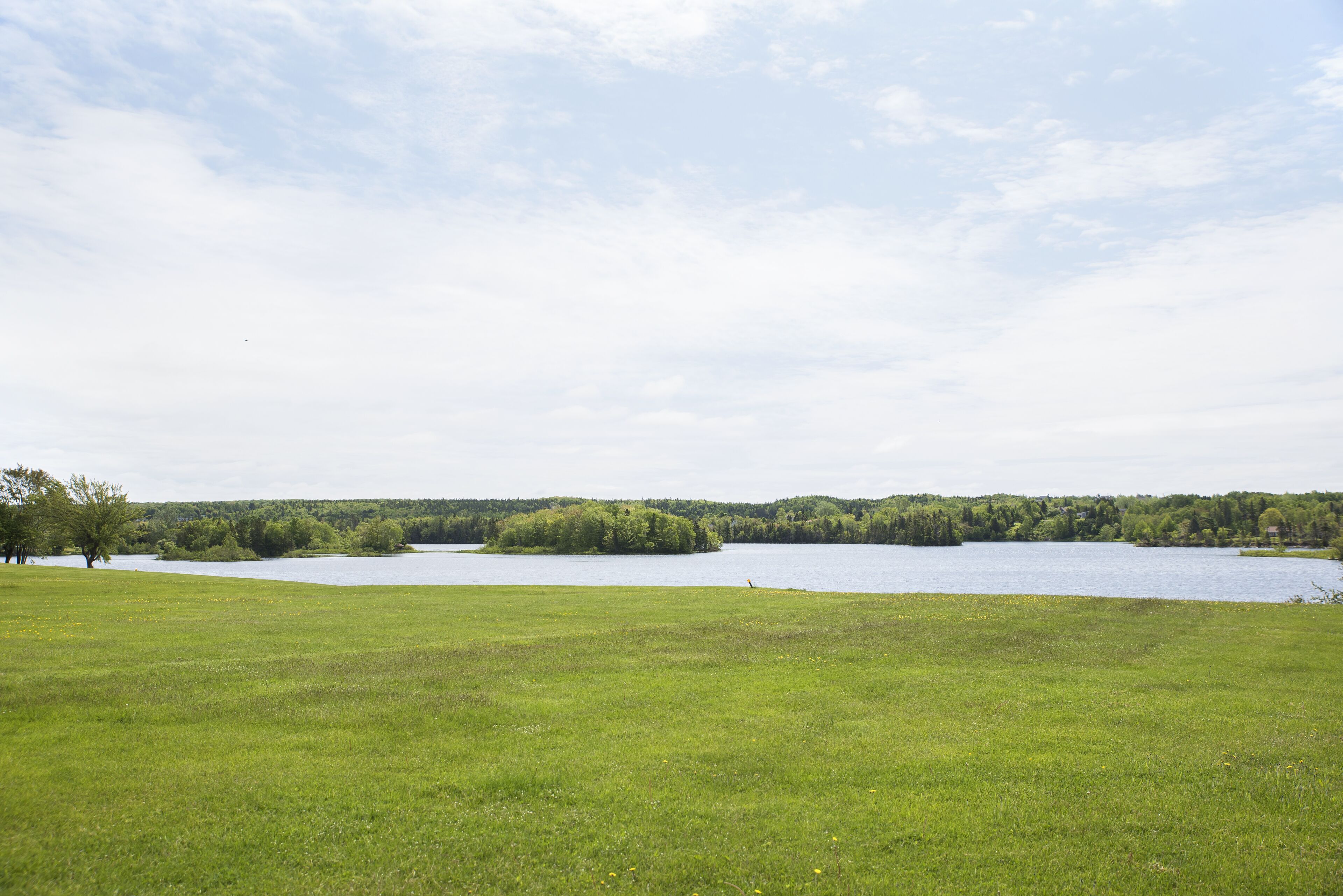 Ein grasbewachsenes Feld mit einem See und einem Wald im Hintergrund.