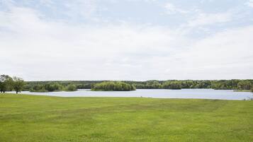 Ein grasbewachsenes Feld mit einem See und einem Wald im Hintergrund.