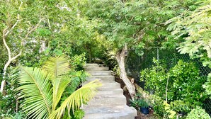 A concrete staircase surrounded by lush greenery and a chain-link fence. - CAICOSVERDE Amazing Garden 2 Bedrooms Suite with Living Room and Kitchenette. (Providenciales)