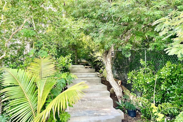Stairs from Parking Spot to the unit. Gated garden with security cameras.