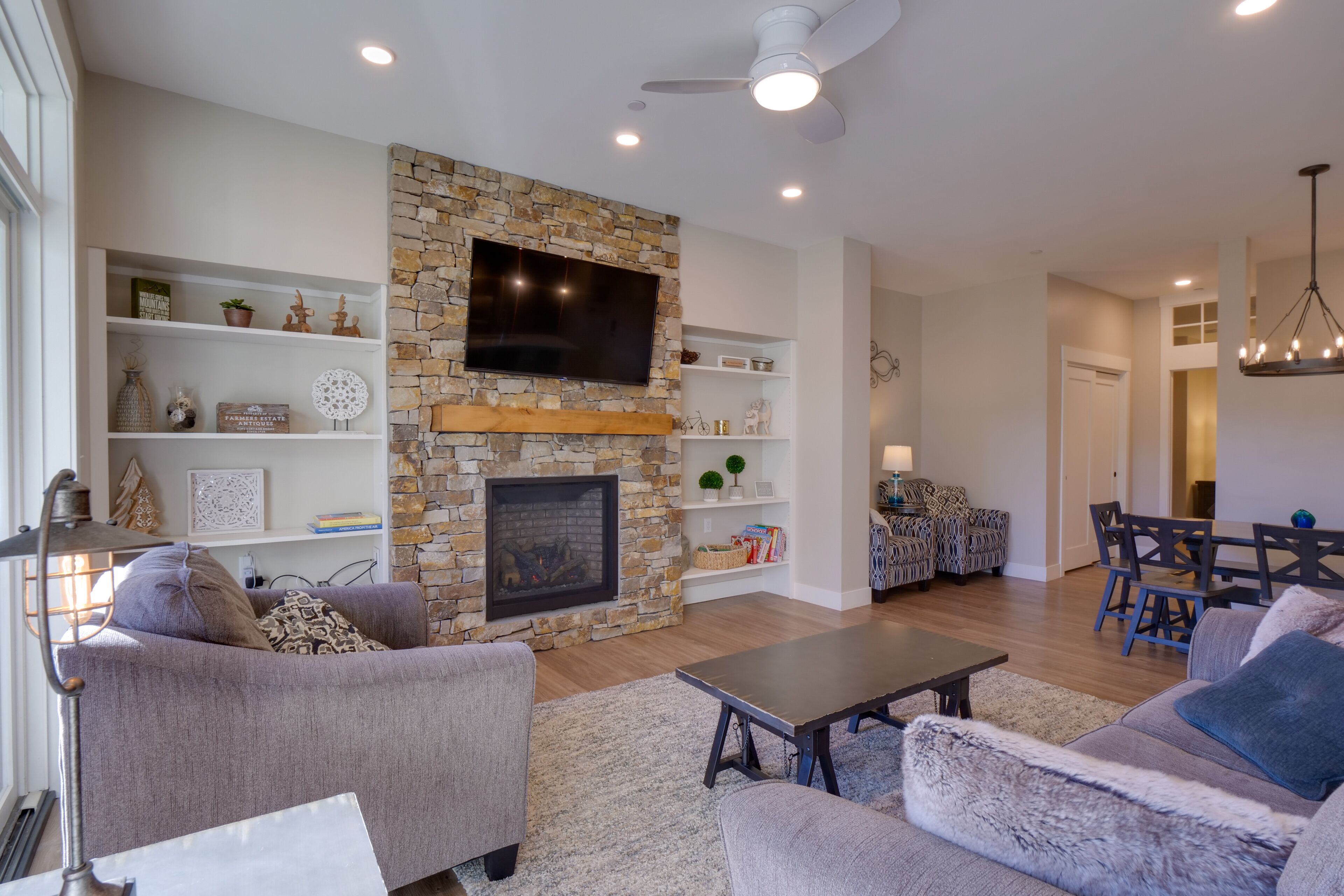 TV, fireplace, books