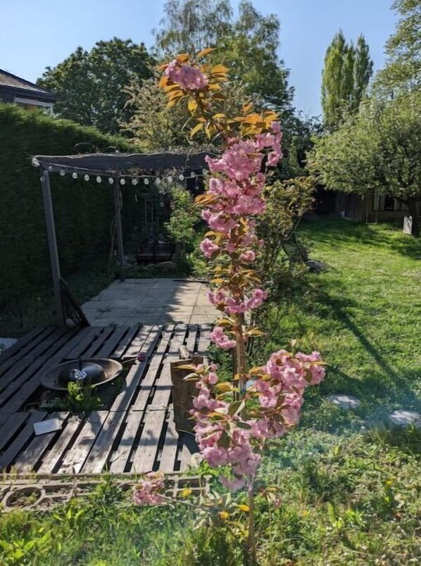 Relax in a serene garden setting, surrounded by lush plants and a shaded pergola.