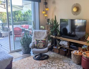 Smart TV, computer monitors