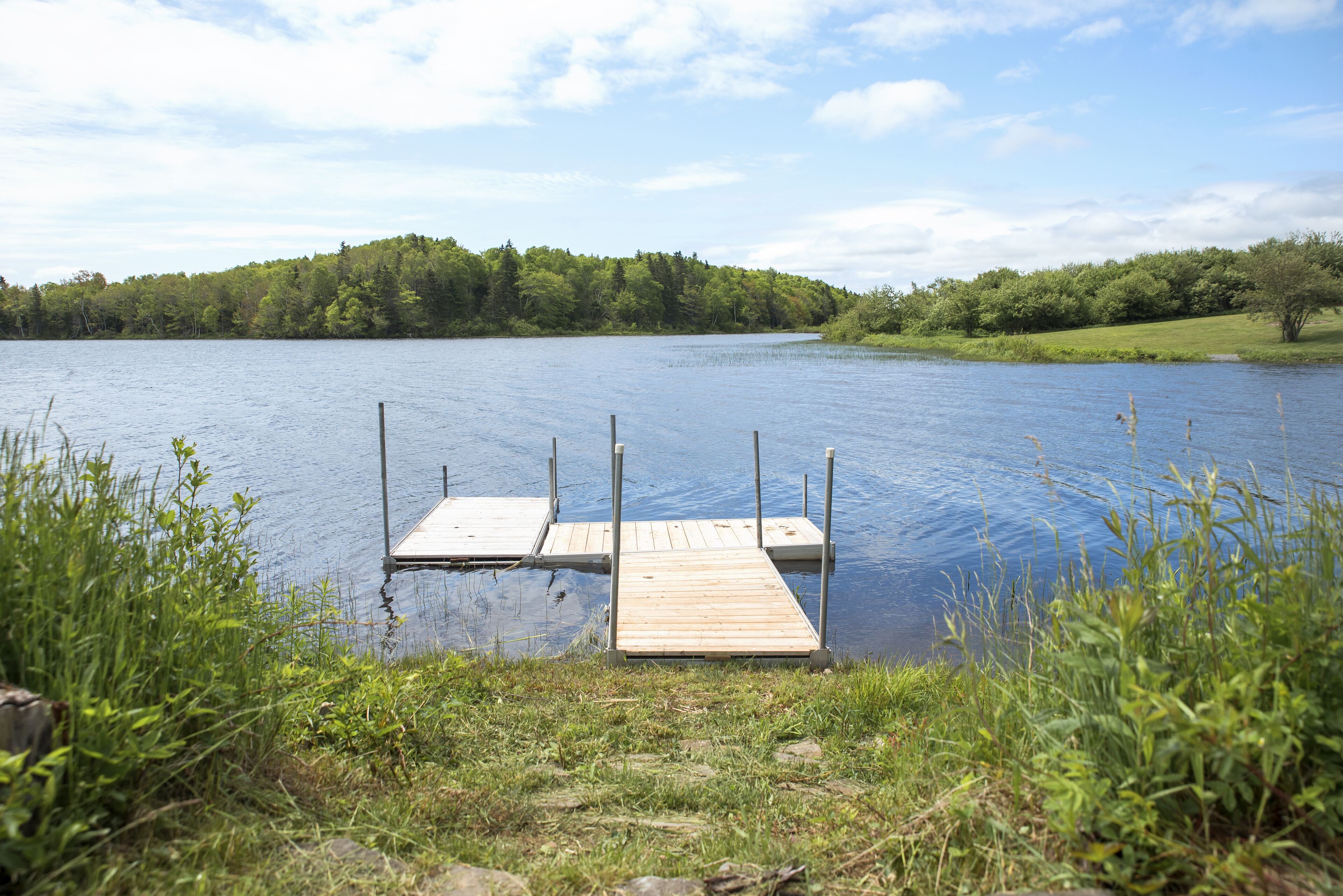 A wooden dock extending into a calm lake surrounded by lush greenery.