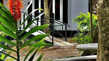 Superior Studio | Terrace/patio