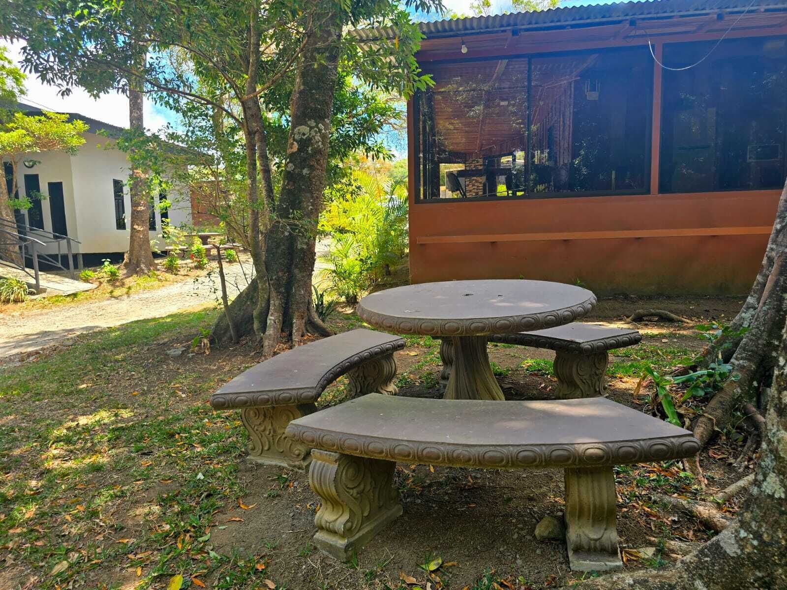 A stone outdoor table with benches, surrounded by trees and a building with large windows.