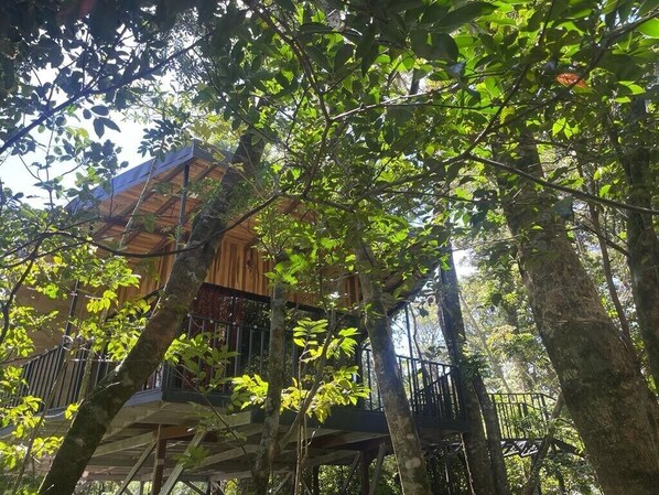 Individually decorated, individually furnished, free WiFi, bed sheets - Cabañas Roca Verde Monteverde (Monteverde)