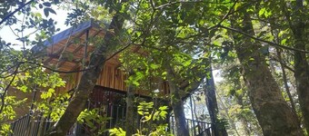 Cabañas Roca Verde Monteverde