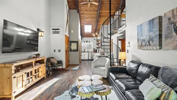 Smart TV, fireplace, DVD player, books