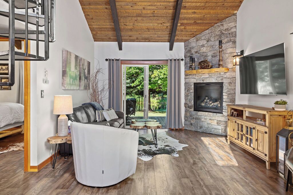 Smart TV, chimenea, reproductor de DVD y libros 