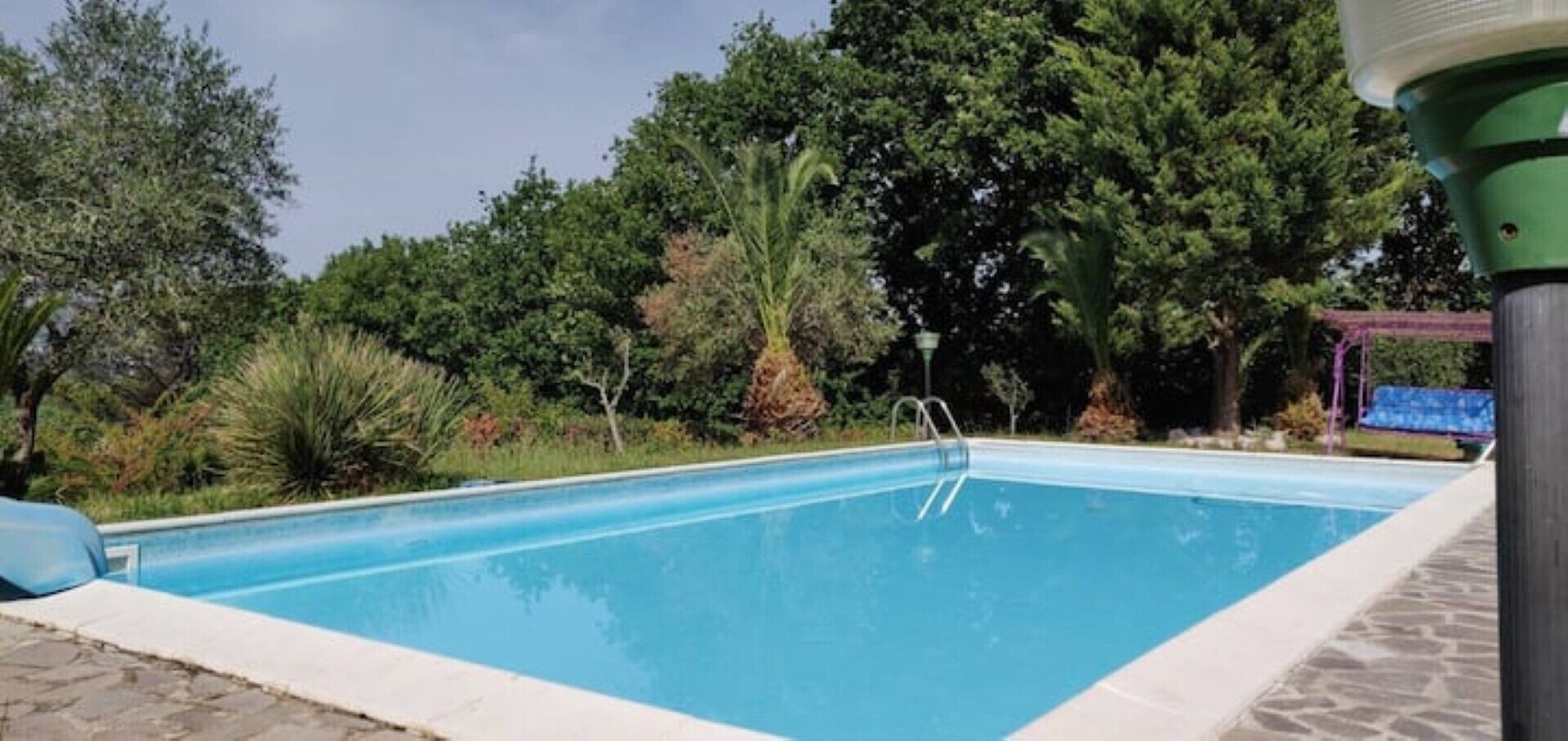 Piscina rectangular amb una escala a un costat, envoltada de vegetació i arbres frondosos.
