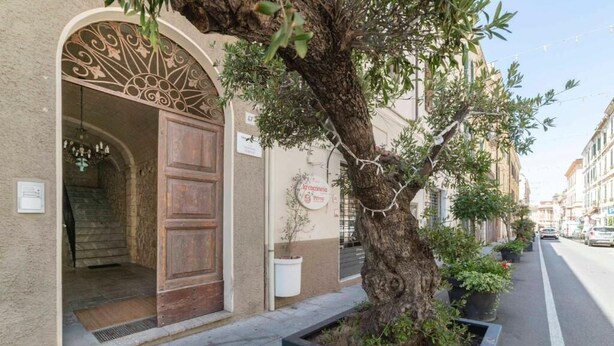 Ein Gebäude mit einer großen Holztür und einem Bogenportal, ein Baum in einem Blumentopf sowie eine Straße mit geparkten Autos.