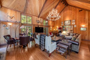 テレビ、暖炉、書庫、ステレオ