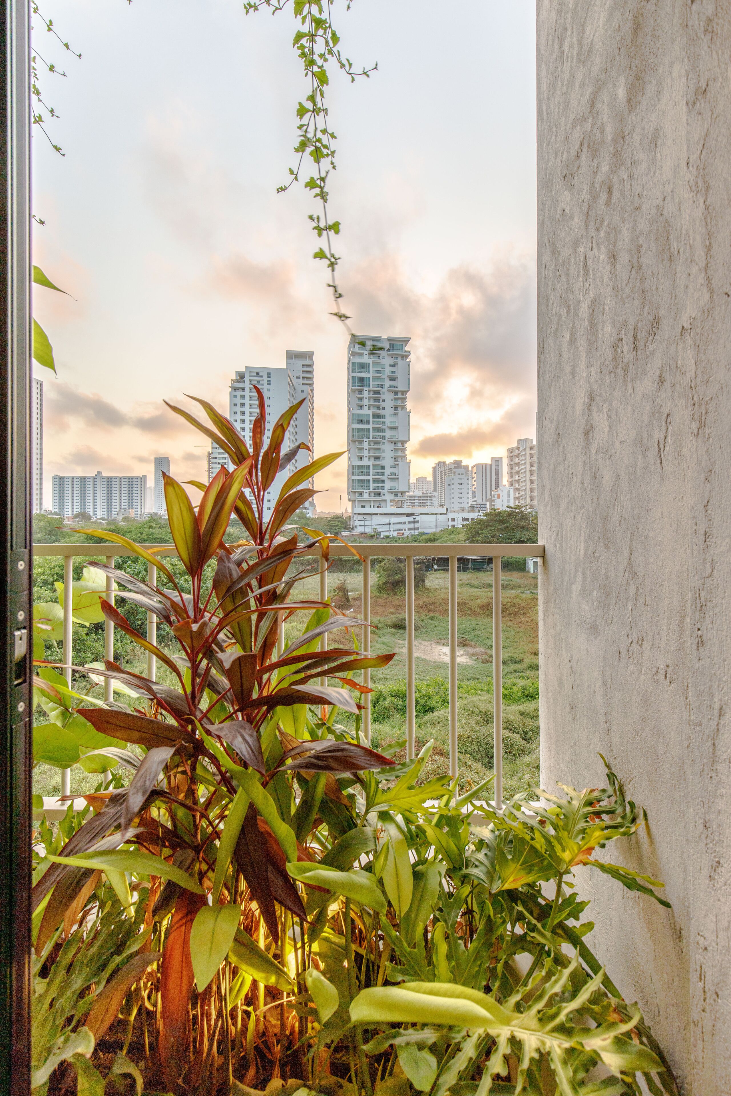 A balcony with plants and a cityscape view.