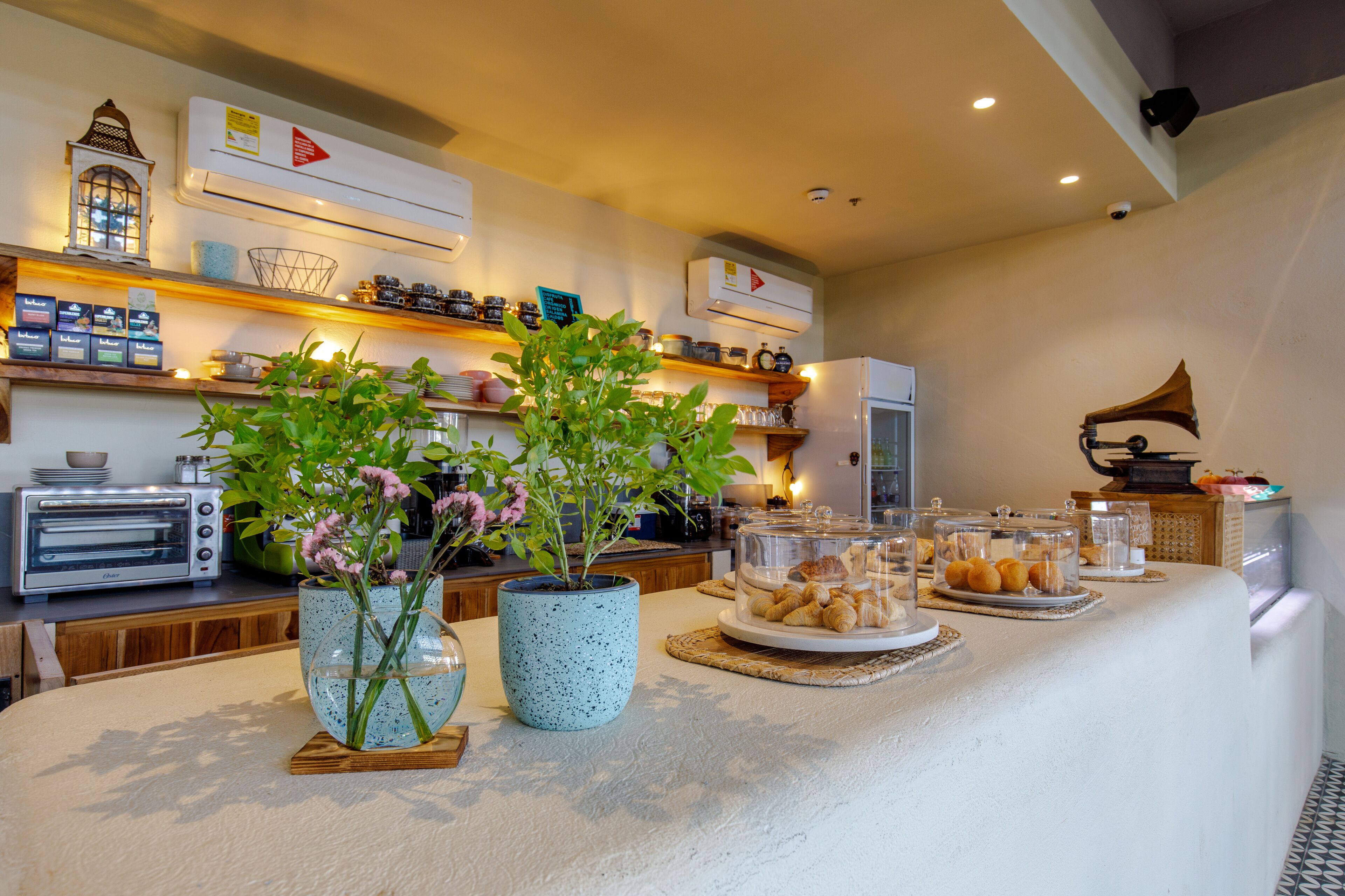 Une cuisine avec un plan de travail où sont exposées des pâtisseries, un grille-pain et des plantes décoratives.