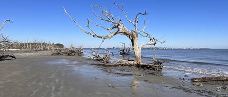 サンラウンジャー、ビーチタオル