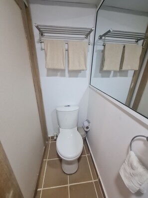 Dusche, Haartrockner, Handtücher, Seife