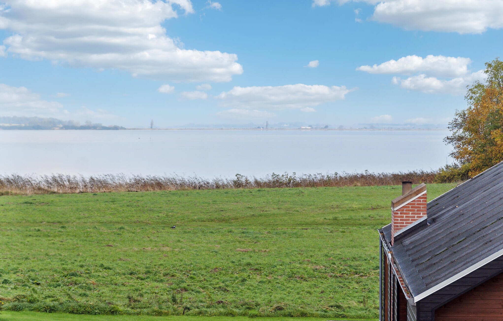 A grassy field with a view of a body of water and distant buildings.