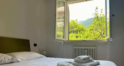 Apartment with garden and garage Dongo - A28