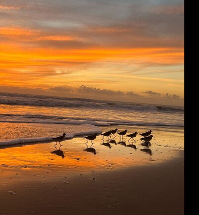 Cocoa, Beach house
