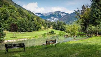 Un parc paisible avec un étang, des bancs et une vue sur les montagnes.