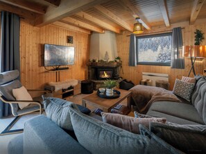 TV, fireplace, video games, DVD player