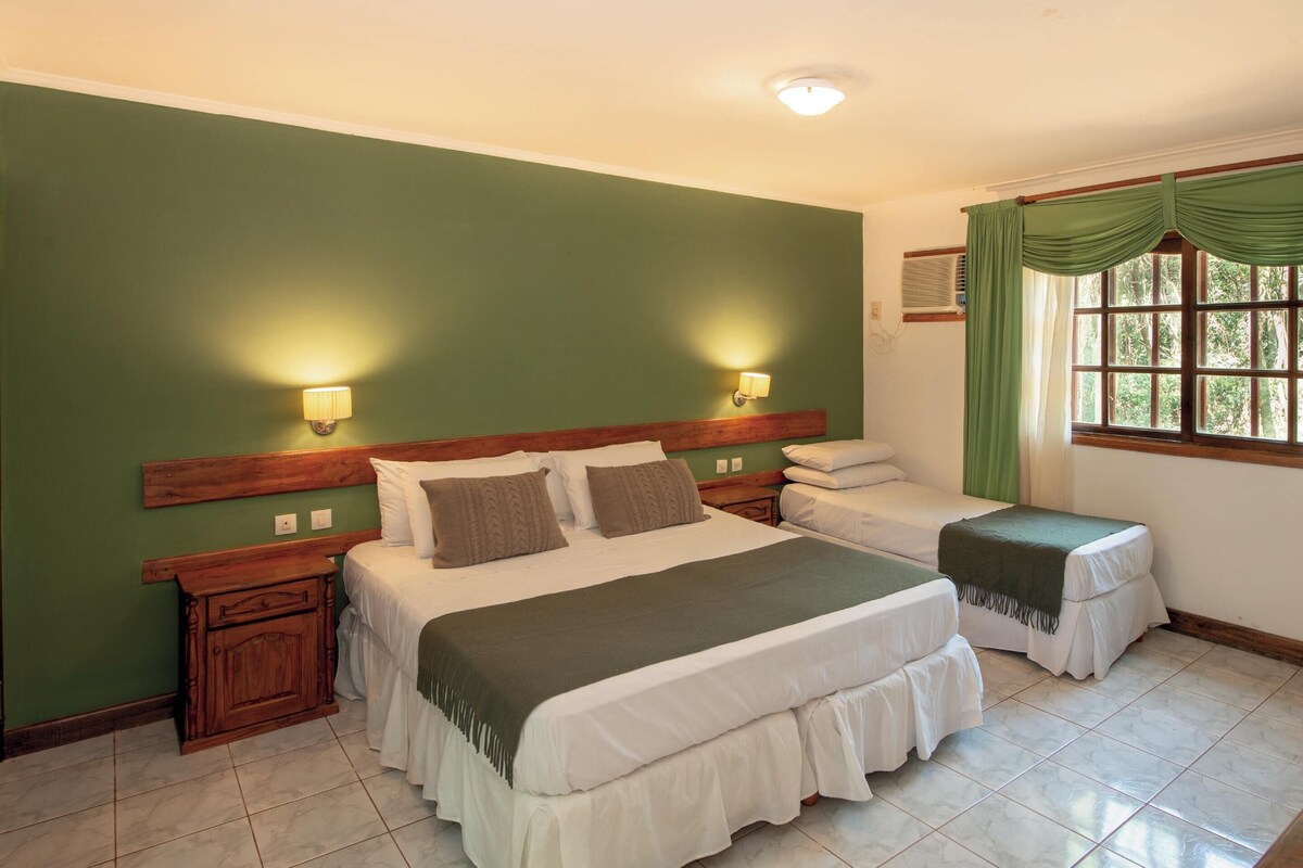 Standard Triple Room | Free WiFi, bed sheets