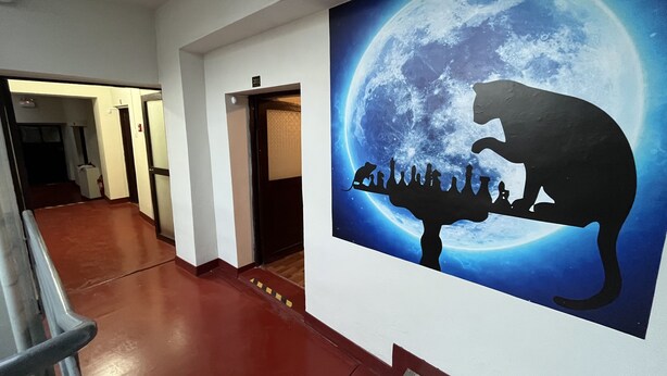A hallway with a mural of a bear on a crescent moon, a fire extinguisher, and a door labeled "201". - The Sleepy Mouse (Cusco)