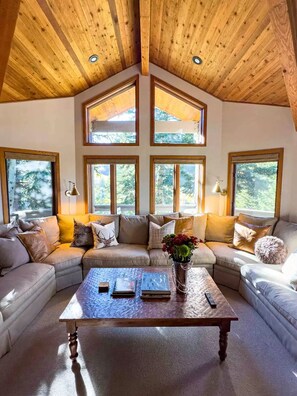 TV connectée, cheminée, livres