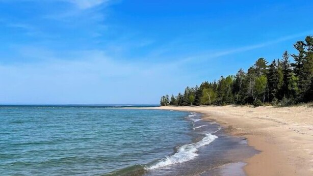 A beach with clear water, a sandy shore, and a line of trees in the background.