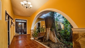 A hallway with yellow walls, a tiled floor, and a large tree in the center. - Espectacular casona con alberca y jardines (Mérida)