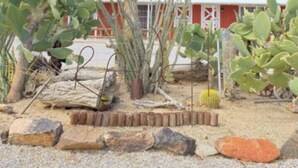 Un jardin désertique avec différentes espèces de cactus et de plantes succulentes, un banc en bois rustique et, au fond, un bâtiment rouge.