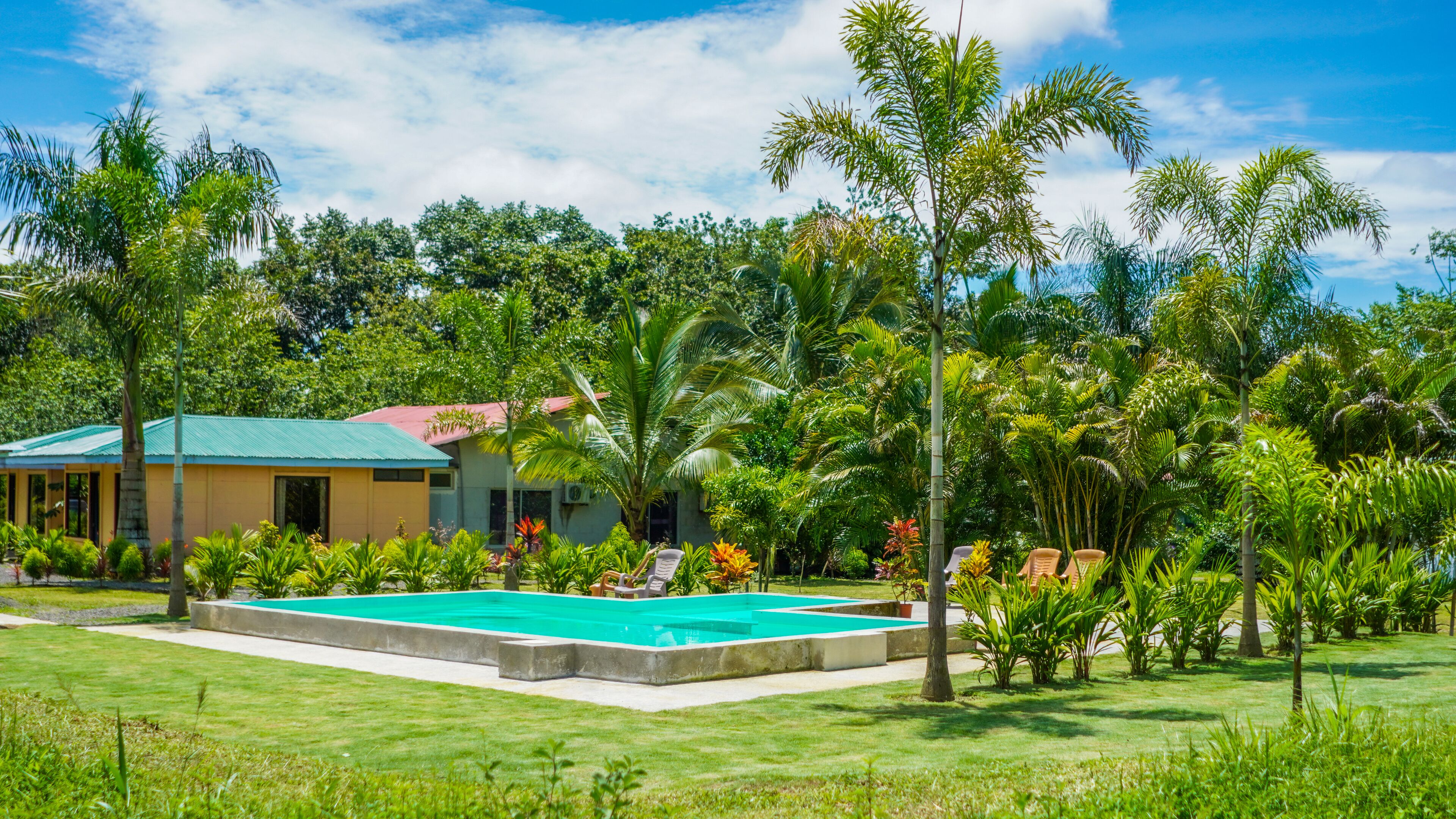A pool area with a house in the background surrounded by lush greenery.