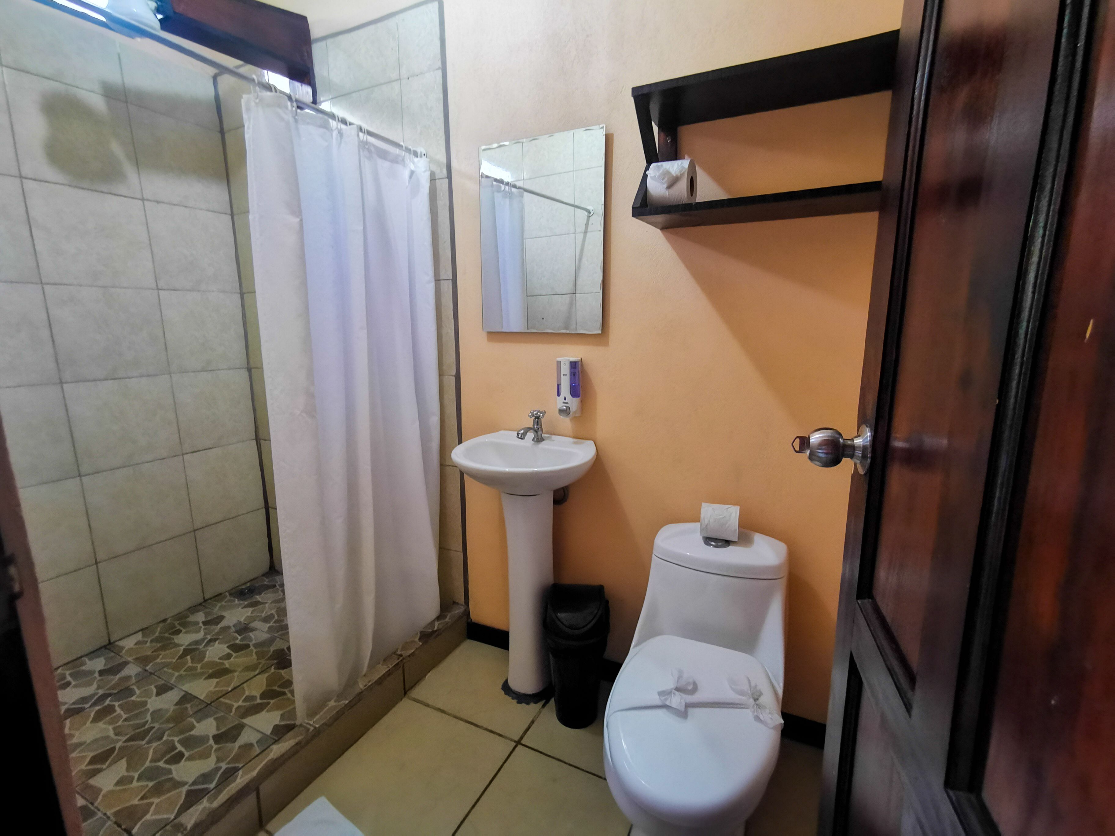 A bathroom with a shower, sink, toilet, and a mirror.