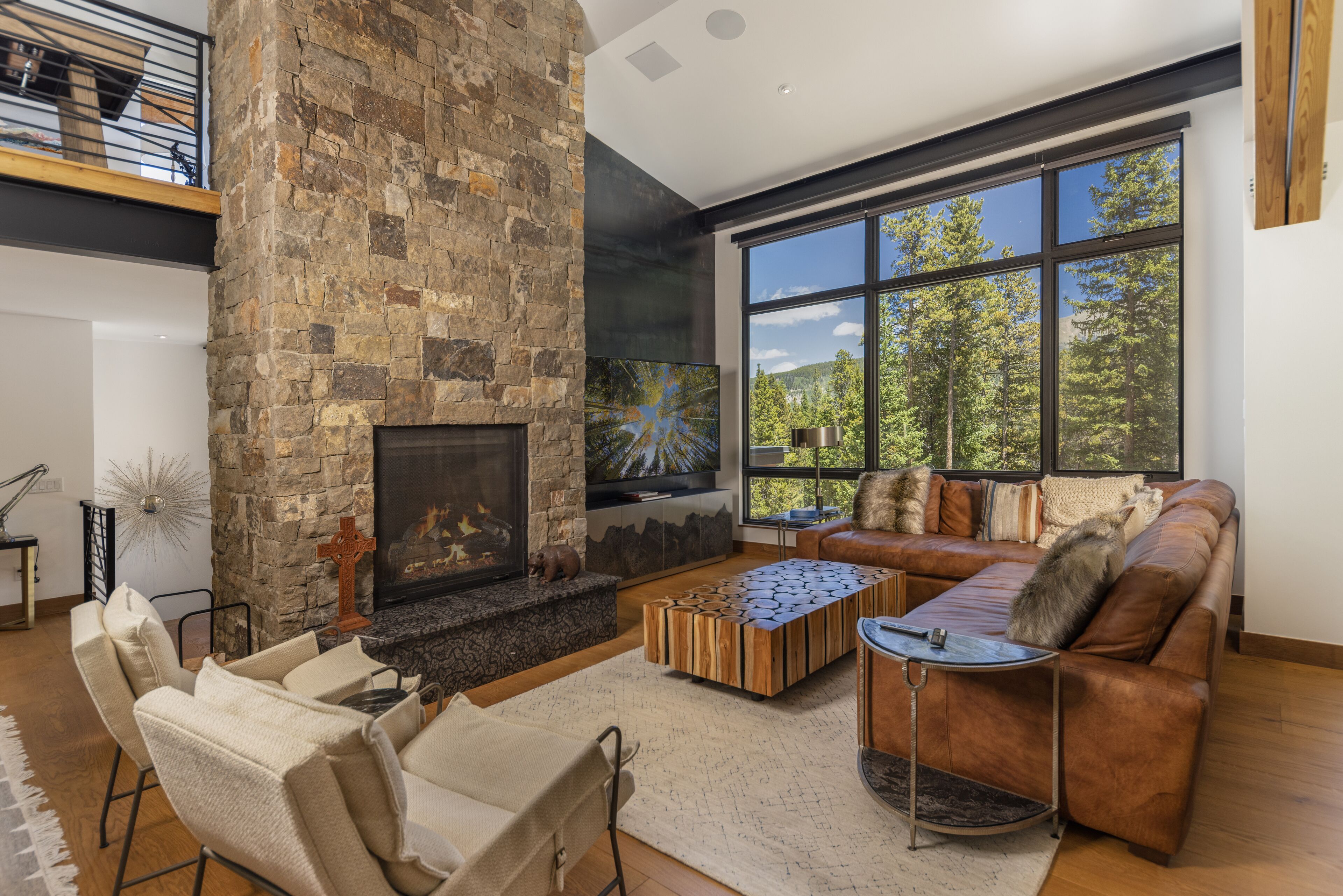 TV, fireplace, DVD player, books