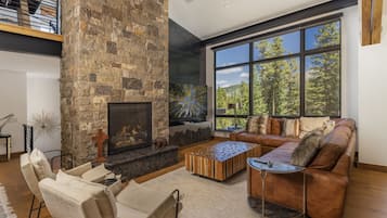 TV, fireplace, DVD player, books