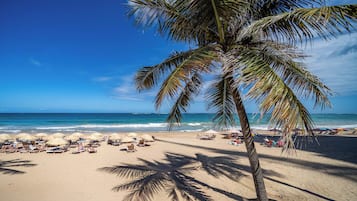 Playa en los alrededores y camastros