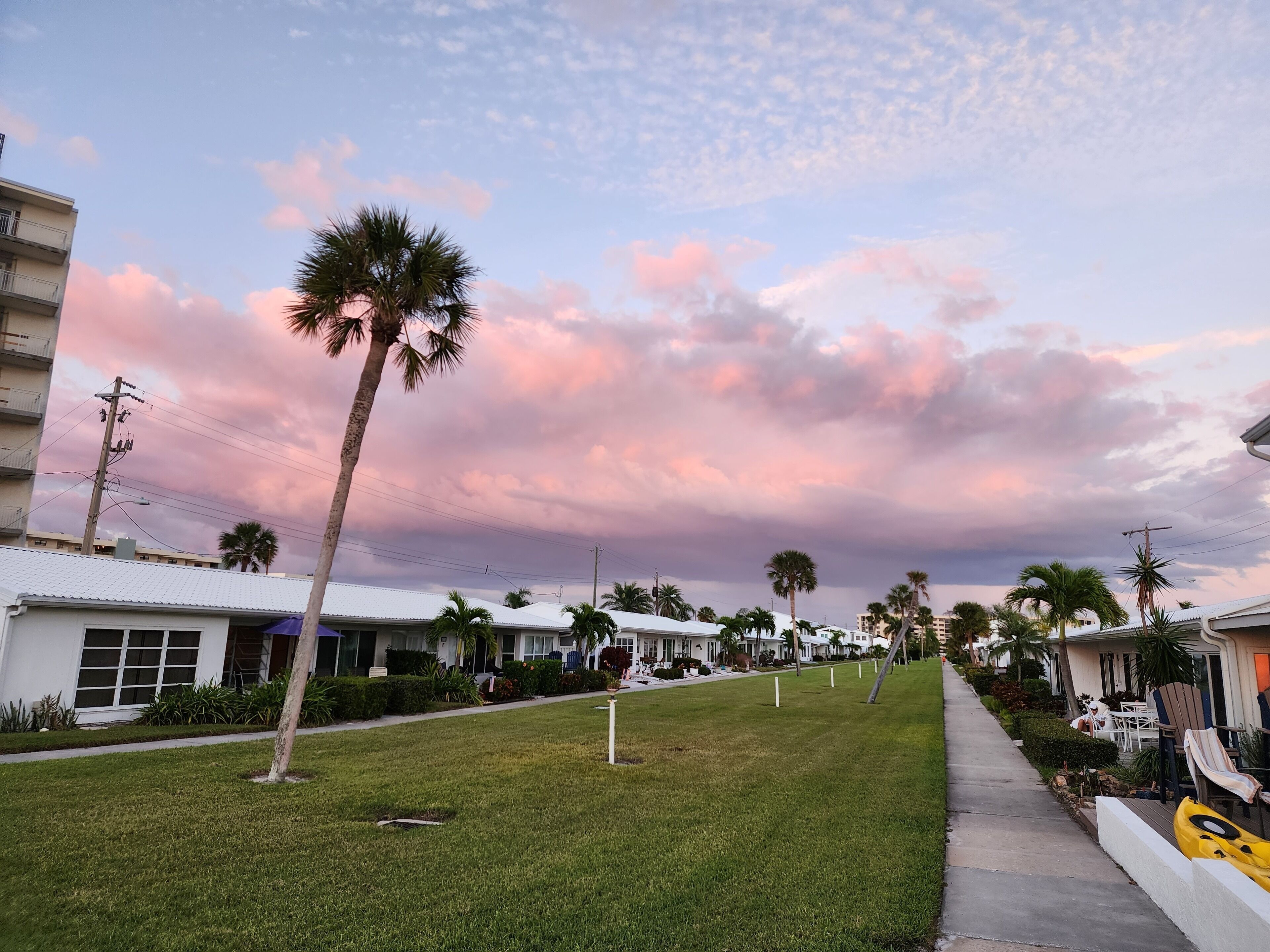 A residential street with houses, palm trees, and a clear sky.