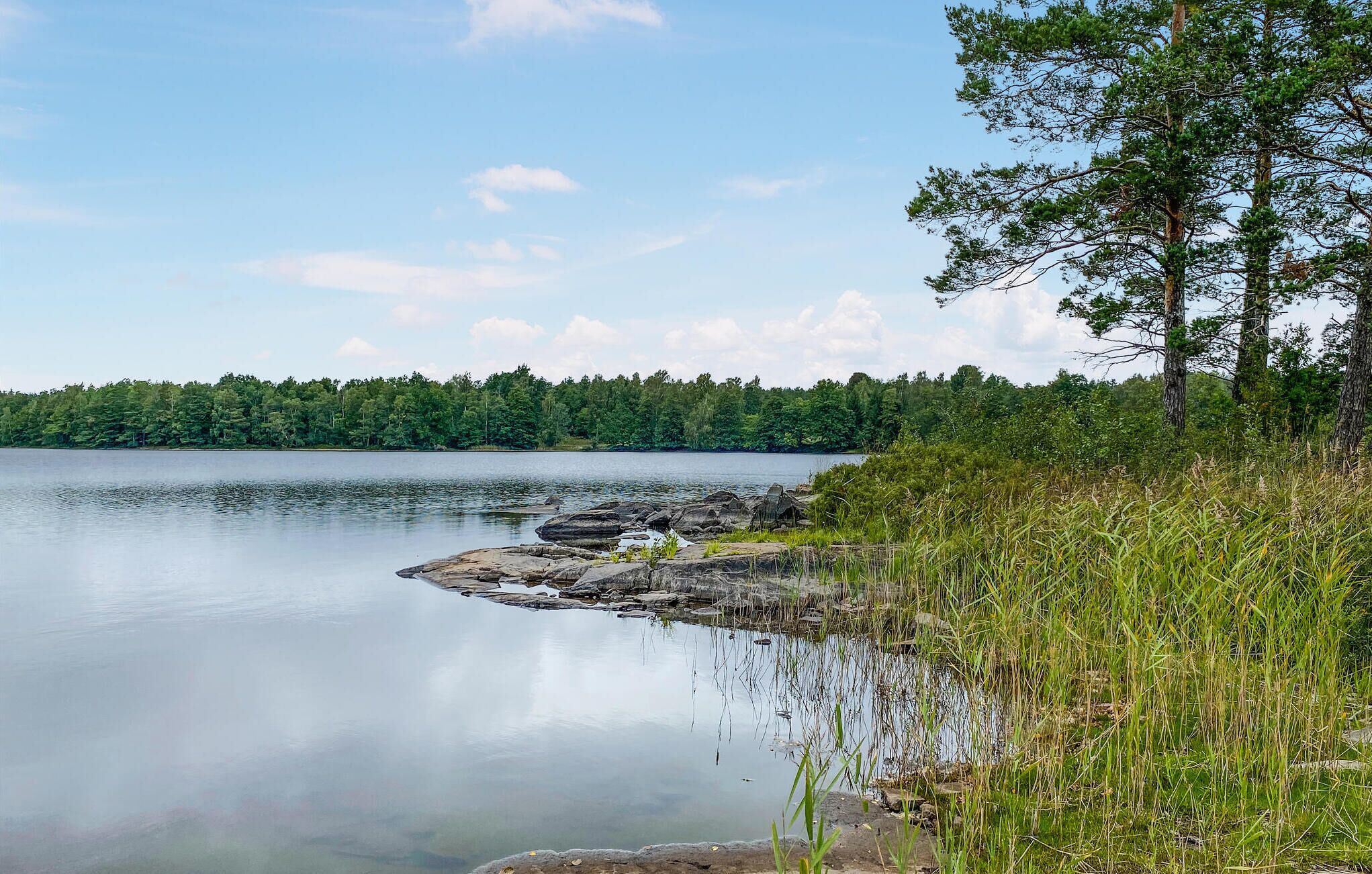A calm lake with a rocky shoreline, surrounded by dense forest.