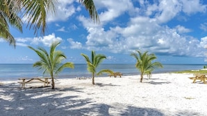 Beach - Florida Keys Waterfront home with beautiful sunset views. (Layton)