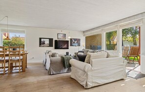 تلفزيون، مدفأة