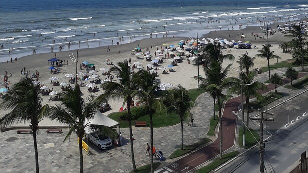Ein Strand mit Palmen, Sonnenschirmen und einer Straße im Vordergrund.