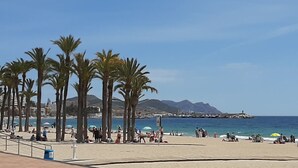 A beach with palm trees, people relaxing, and a clear view of the sea.