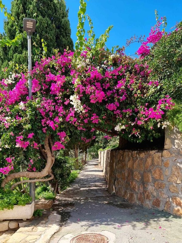 Property grounds - Sol Mediterráneo - Palm Beach Four-1 (Villajoyosa/Vila Joiosa, La)