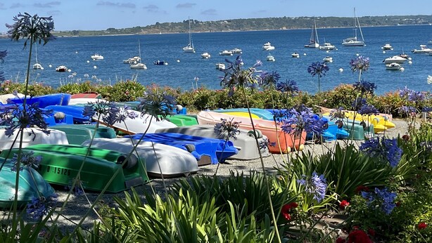 Un port de plaisance où sont amarrés des bateaux aux couleurs vives, offrant une vue dégagée sur la mer.