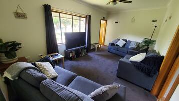 Smart TV, fireplace, DVD player, books