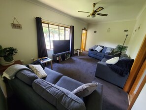 TV connectée, cheminée, lecteur de DVD, livres