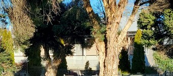 Free Wi-fi, Netflix, Sleeps 8 - Tathra of Talbingo